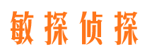 未央市婚外情调查